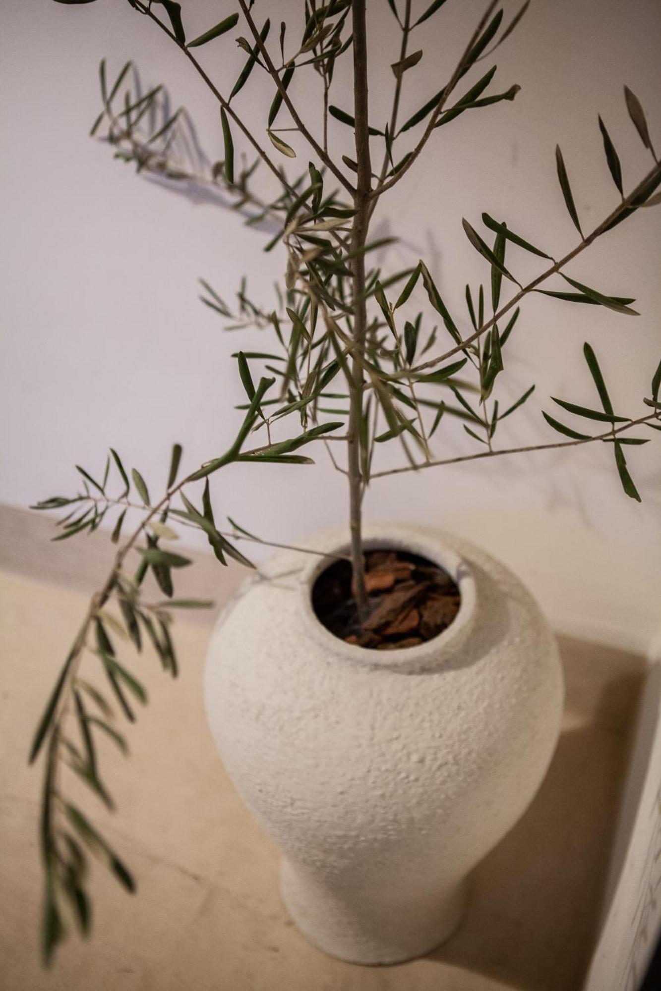 Cosy Riad Marrakesz Zewnętrze zdjęcie